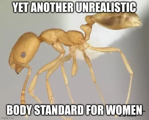 yet another unrealistic body standard for women (picture of an ant)